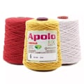 Barbante Apolo Eco Nº06 Circulo 600g C/627m